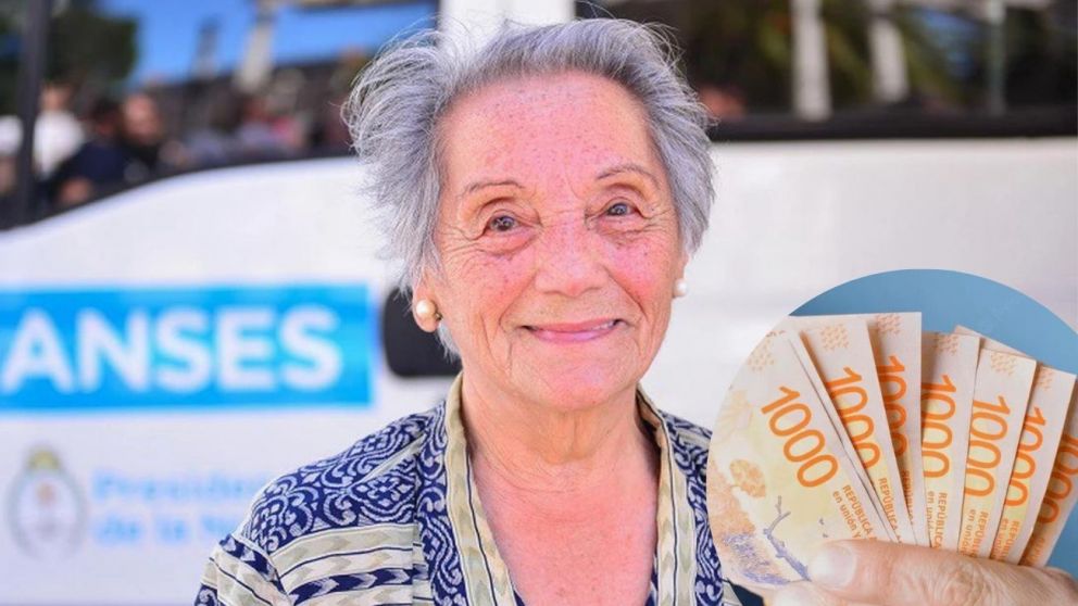 Todos los detalles de lo que se debate en el senado sobre la Ley de Movildiad para jubilados de Anses