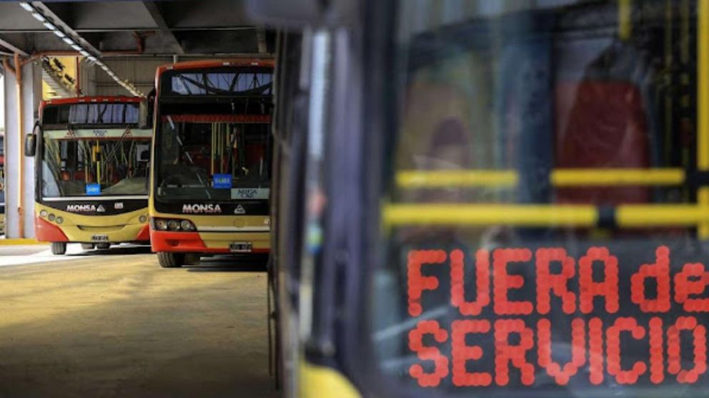 El paro entró en rigor para más de 40 líneas