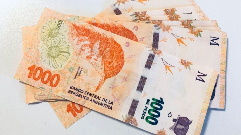 Consultá cuándo cobrás en Mi Anses