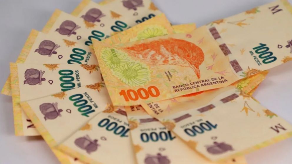 Fecha y lugar de cobro Anses