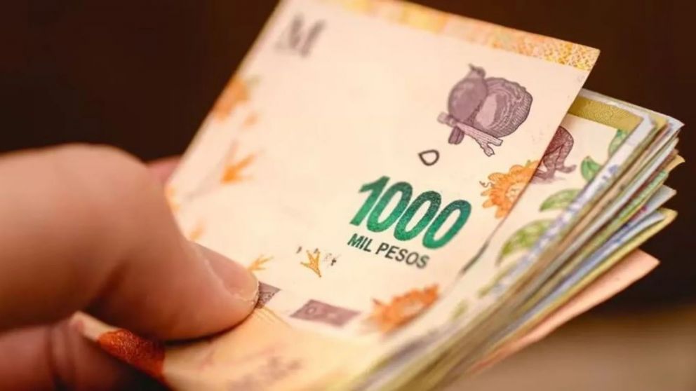 Cu�l es el requisito para cobrar el bono de la Anses