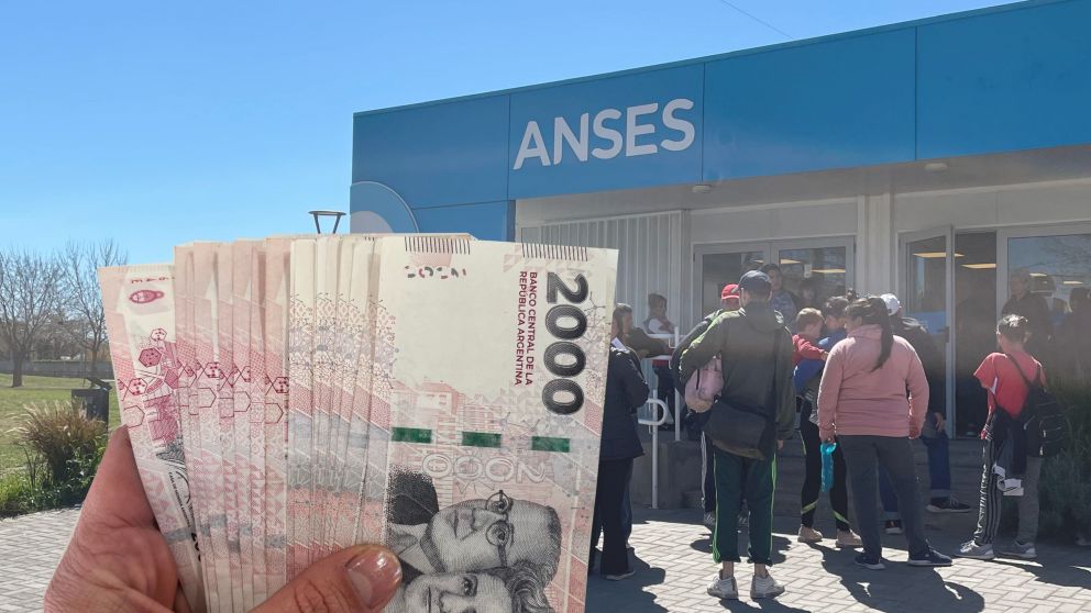Nuevo monto para SUAF en Anses