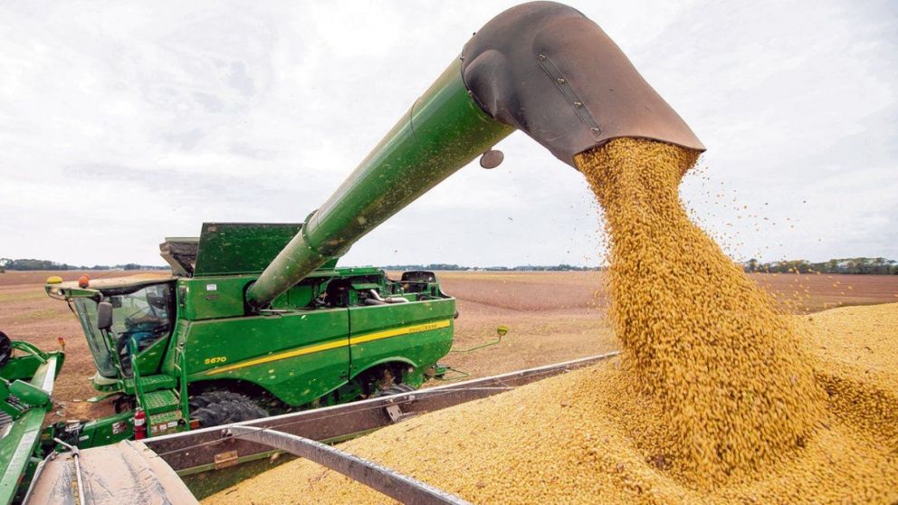 Los Derechos de Exportación registraron un incremento de 91,7%