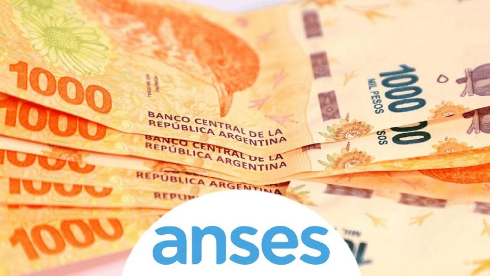 Qui�nes pueden cobrar la asistencia de $296.000 de Anses