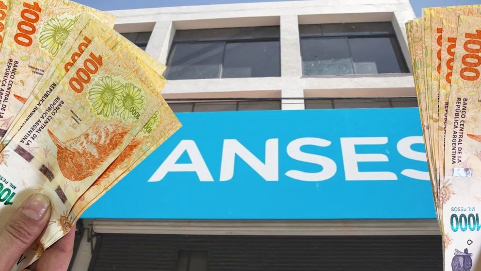 Conocé cuáles son las condiciones para cobrar el bono de $20.000 para AUH de Anses