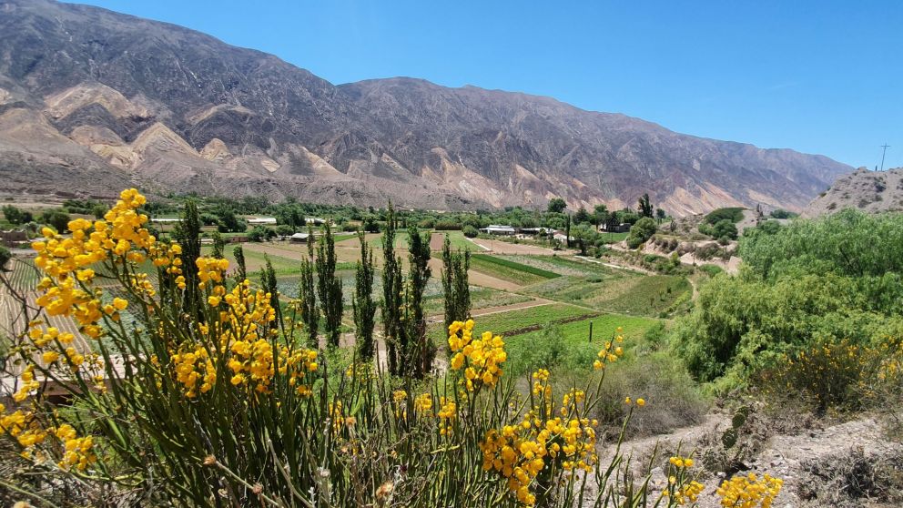 Maimar�, en plena Quebrada de Humahuaca, fue elegido el mejor pueblo tur�stico del mundo por su cultura, paisaje y modelo sustentable.