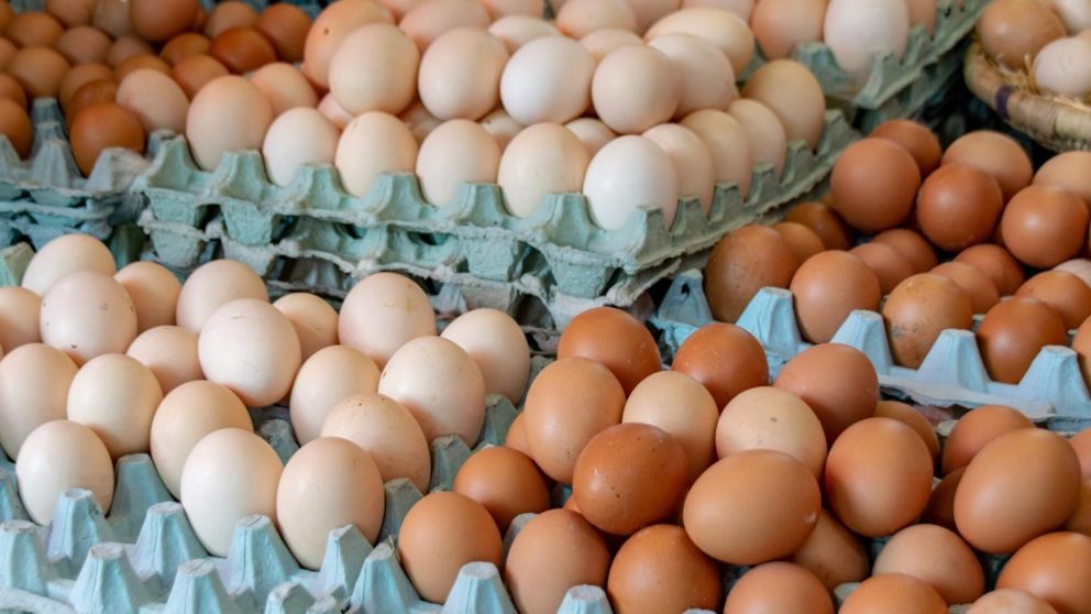 Argentina es el mayor consumidor de huevos del mundo y crece la producción