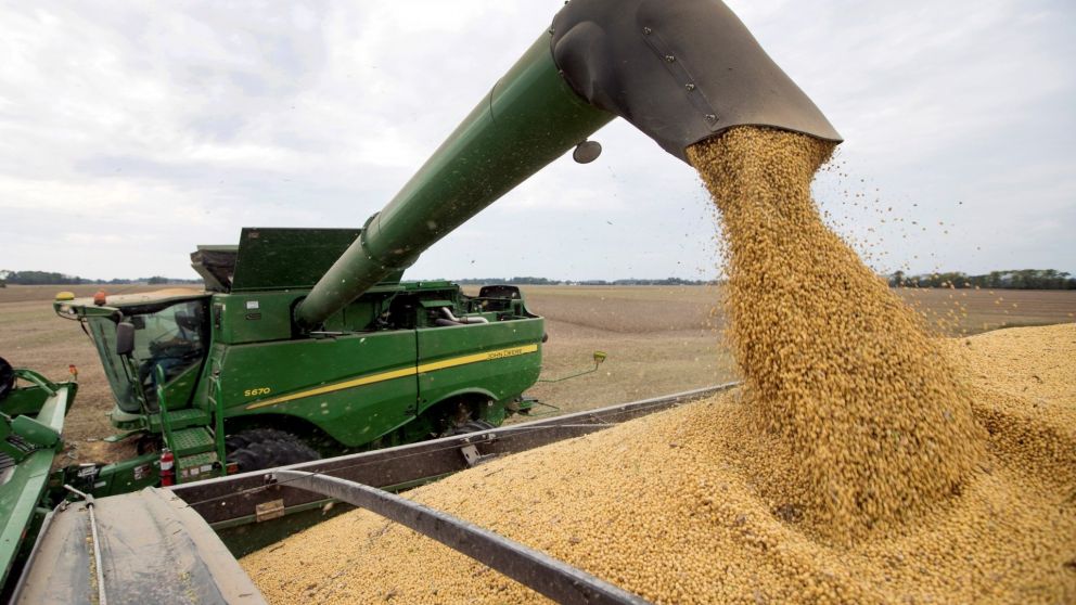 La producción aumentó con la ida de las lluvias