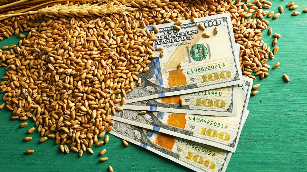 Economistas advierten que, sin cepo, una mayor oferta del agro puede tambi�n implicar una mayor demanda, como ocurri� en junio-julio