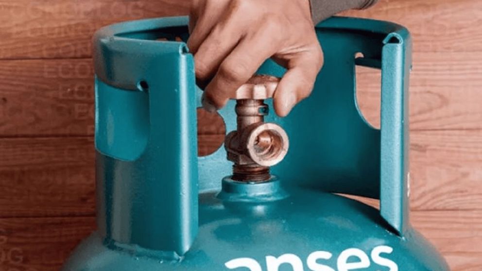 Consult� por qu� te dieron de baja del Programa Hogar de Anses en marzo