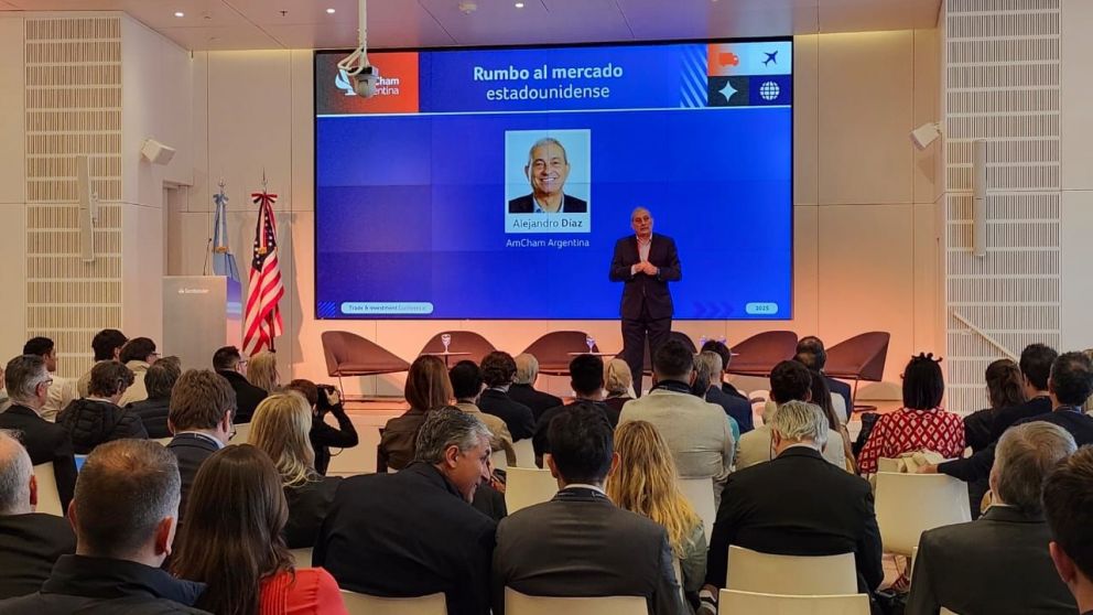 Alejandro Díaz, CEO de Amcham