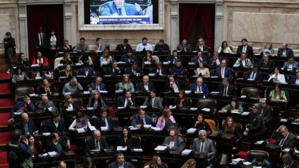 Este miércoles se debatirán en Diputados los vetos al Garrahan y a Universidades.