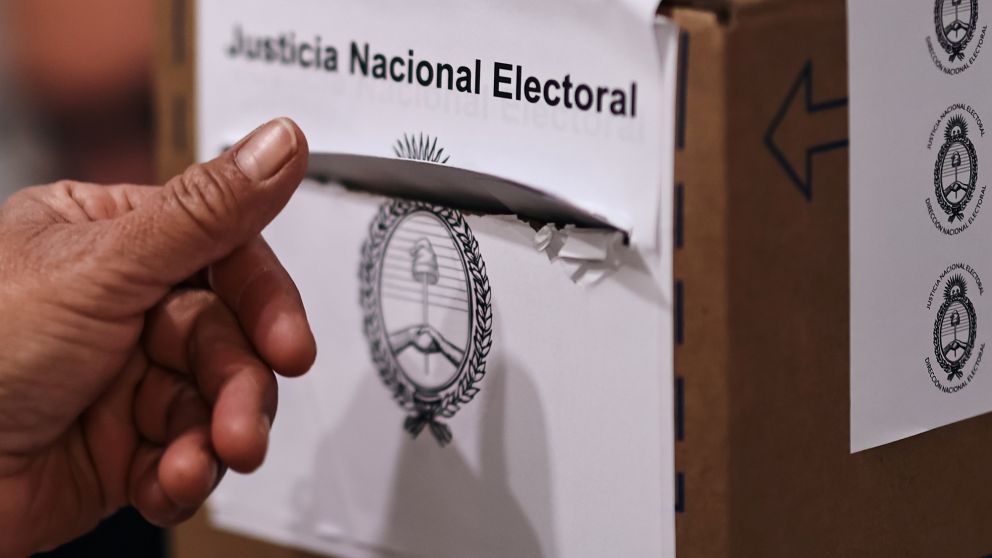 Cu�ndo son las elecciones 2025