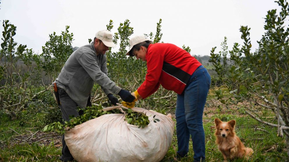 Aumenta la Prestación por Desempleo para los trabajadores rurales (Gentileza RENATRE).