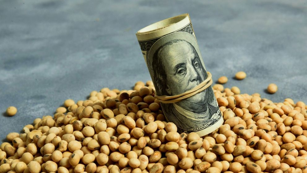 El tipo de cambio diferencial promedia la cotización del dólar oficial con los financieros