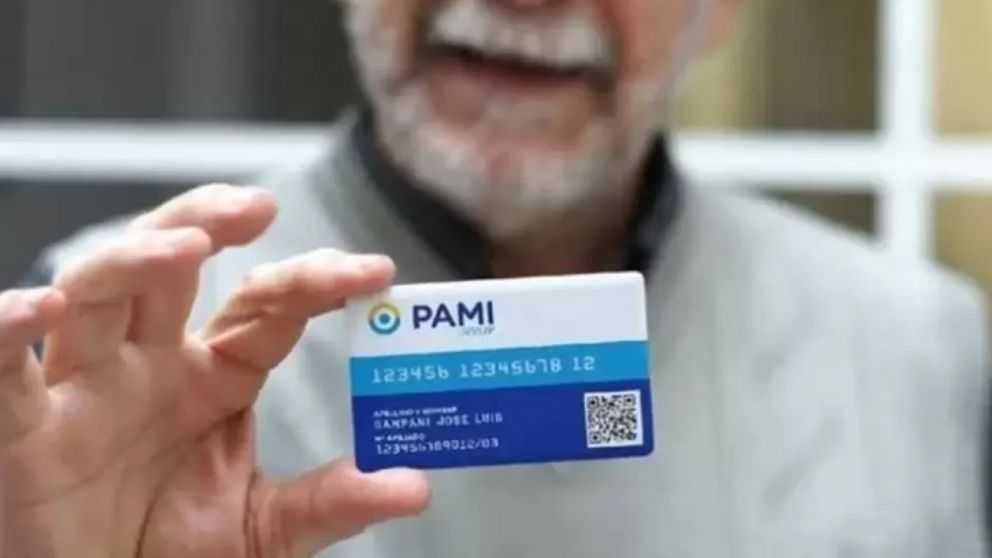 Cu�les se pueden usar en diciembre