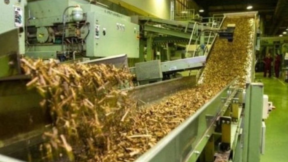 Asignan cupo de exportación de tabaco a Estados Unidos