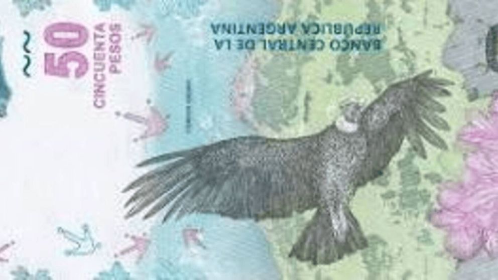 El error que vale oro: el billete de $50 que se cotiza hasta $80.000