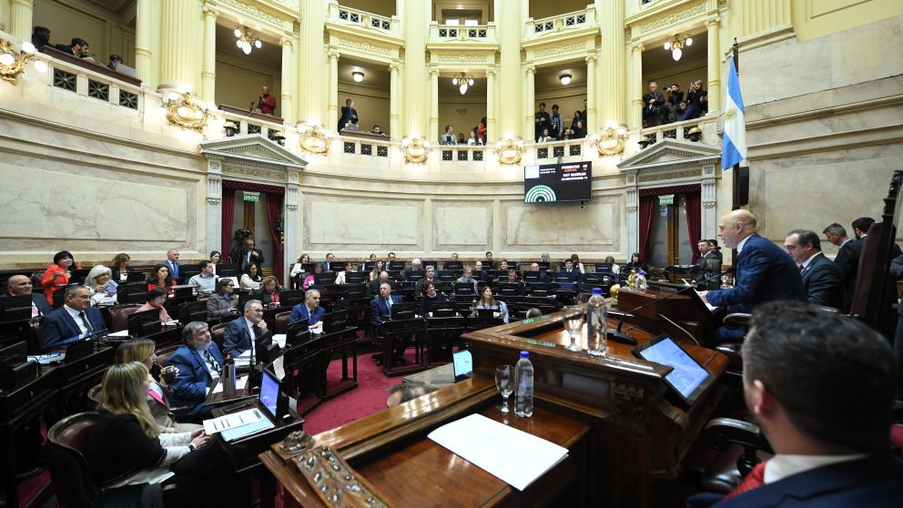 El Senado debate el veto a la Ley de Emergencia en Discapacidad.
