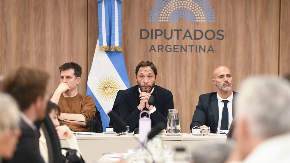 Se reunió la comisión investigadora del caso $LIBRA.