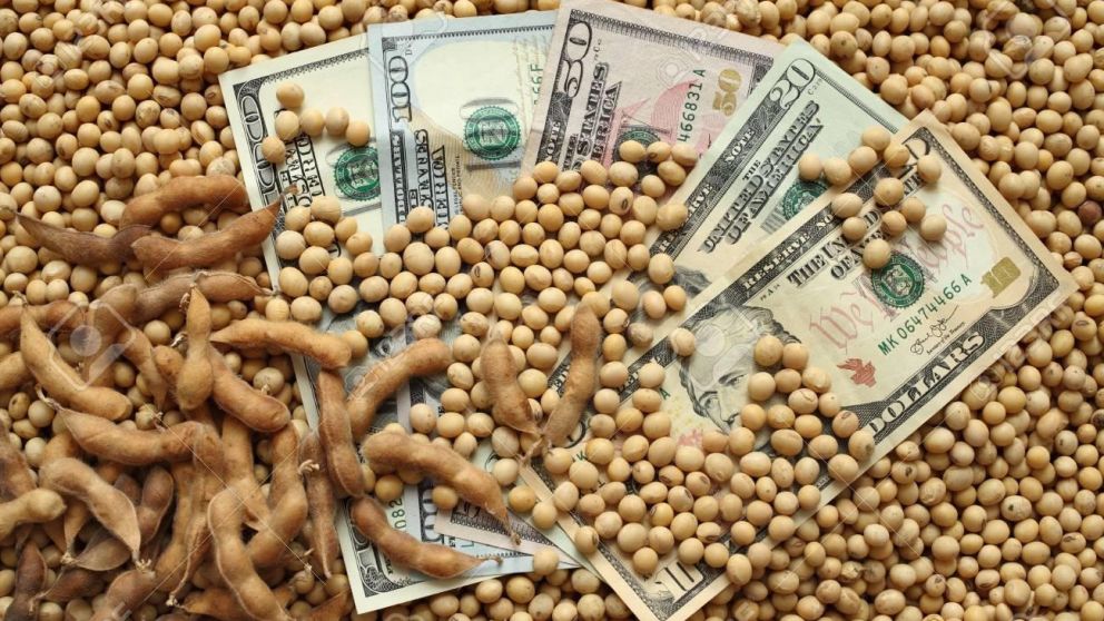 El agro soltó la mano: el dólar bajó y se desinfló la tensión cambiaria