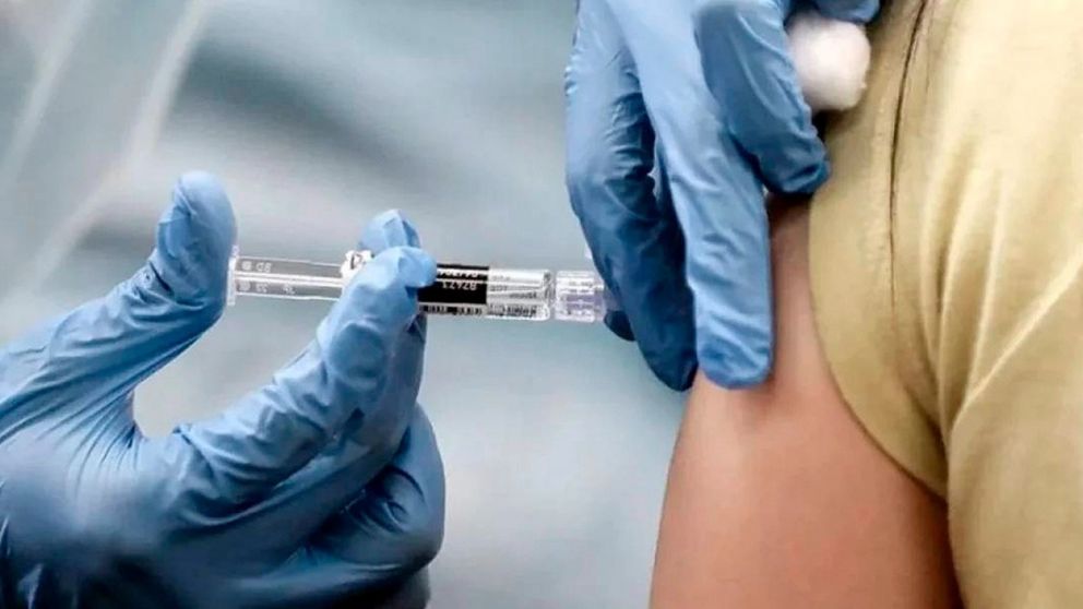 Paso a paso cómo sacar turno para vacunarse contra el dengue