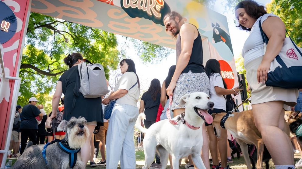 Qu� actividades ofrece Mascotear
