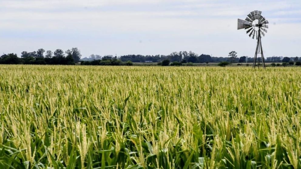 Campo, sector prioritario para el Gobierno.