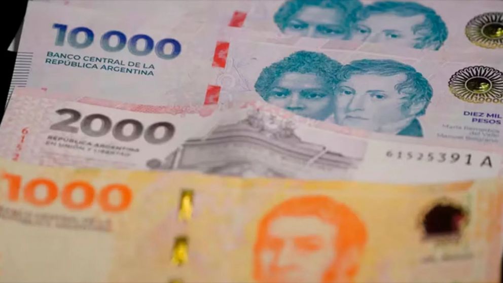 ANSES paga un extra de $80 a jubilados: ¿a quiénes les corresponde? (Imagen ilustrativa)