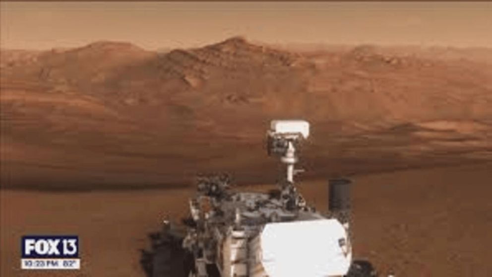 Subastan el mayor fragmento de Marte en la Tierra: podría venderse por hasta 4 millones de dólares