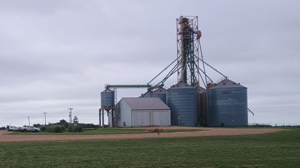 La agroindustria generó más de USD 32 mil millones en exportaciones hasta agosto