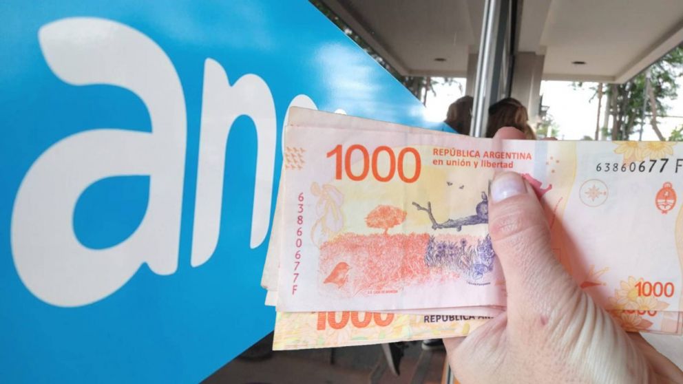 ANSES estableció nuevos montos para la PUAM en septiembre