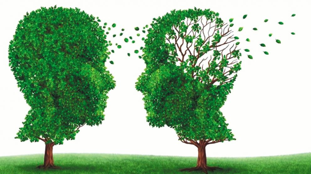 El Alzheimer es la enfermedad cr�nica no infecciosa m�s discapacitante