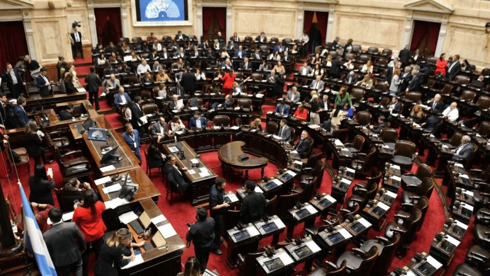 Diputados rechazó los vetos de Milei de salud pediátrica y universidades.