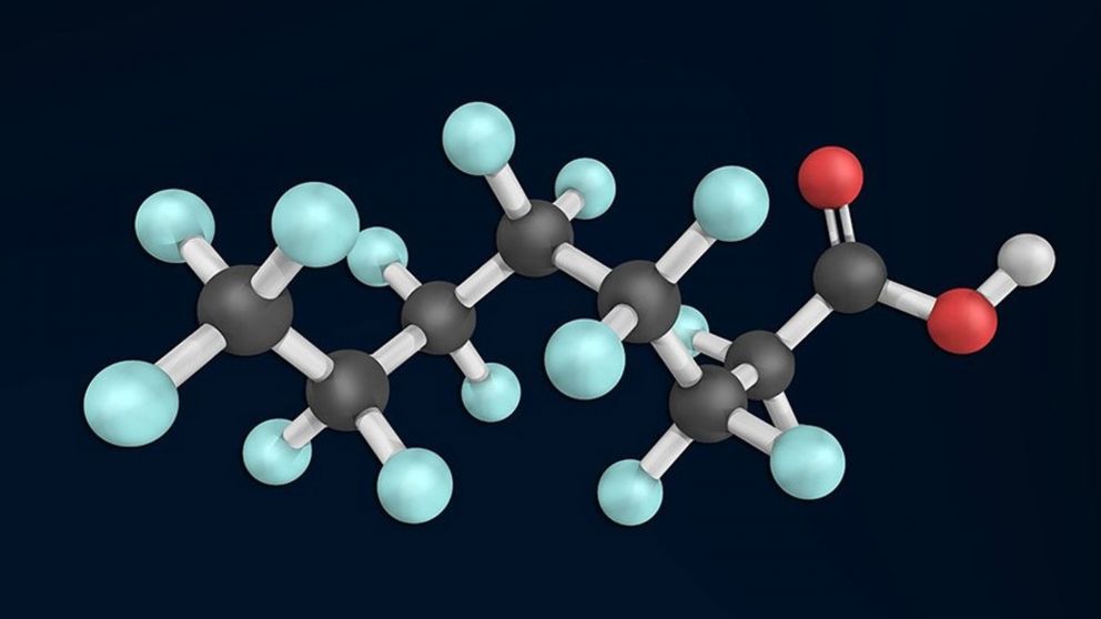 Investigadores de la Universidad de Nebraska-Lincoln han descubierto que la bacteria Rhodopseudomonas palustris puede interactuar con el ácido perfluorooctanoico (PFOA), un tipo de PFAS persistente.