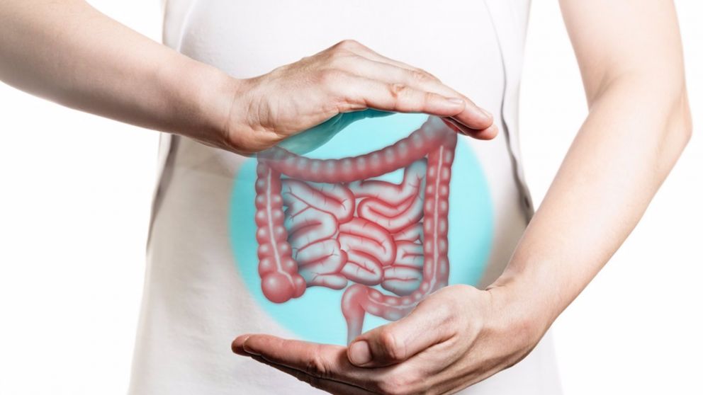 Un estudio de la Agencia Internacional para la Investigación sobre el Cáncer sugiere que los factores contribuyentes del cáncer colorrectal de aparición temprana pueden originarse en la infancia.