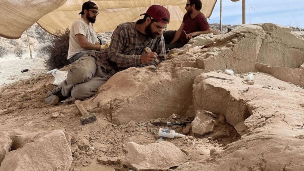 Nuevo streaming del Conicet