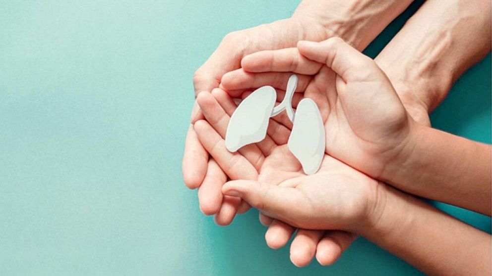 El Gobierno promulgó la Ley N° 27.552 de manera parcial