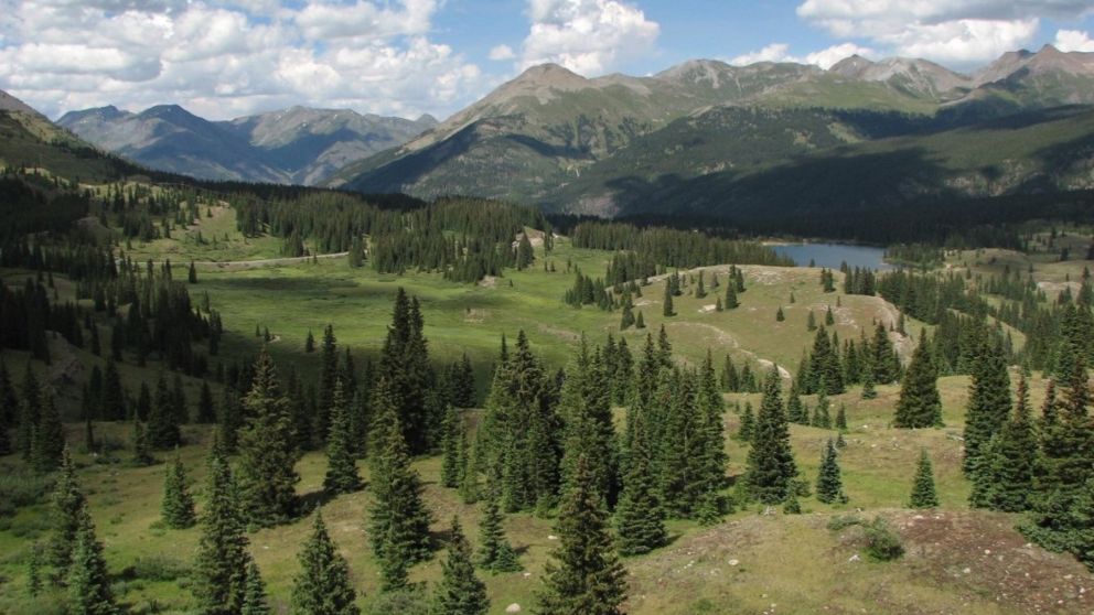 Un estudio revela que las poblaciones de insectos están disminuyendo rápidamente incluso en áreas relativamente inalteradas, lo que plantea serias preocupaciones sobre la salud de los ecosistemas.