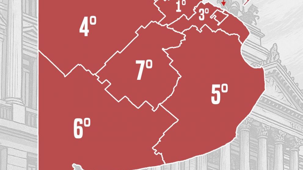 No te pierdas nada de las elecciones 2025