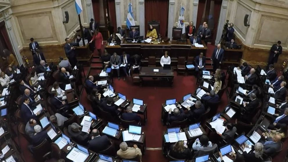 El Senado protagoniza un punto de quiebre con el Gobierno