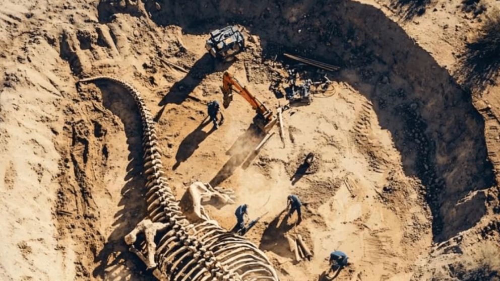 Una nueva transmisión del Conicet quiere mostrar cómo se buscan, extraen y estudian fósiles en la Patagonia