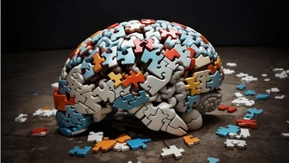 El estudio abre la puerta a terapias para la ELA y otras enfermedades como el Alzheimer o el Parkinson. Se trata de rescatar neuronas que ya existen, no de reemplazarlas, devolviéndoles su resiliencia juvenil