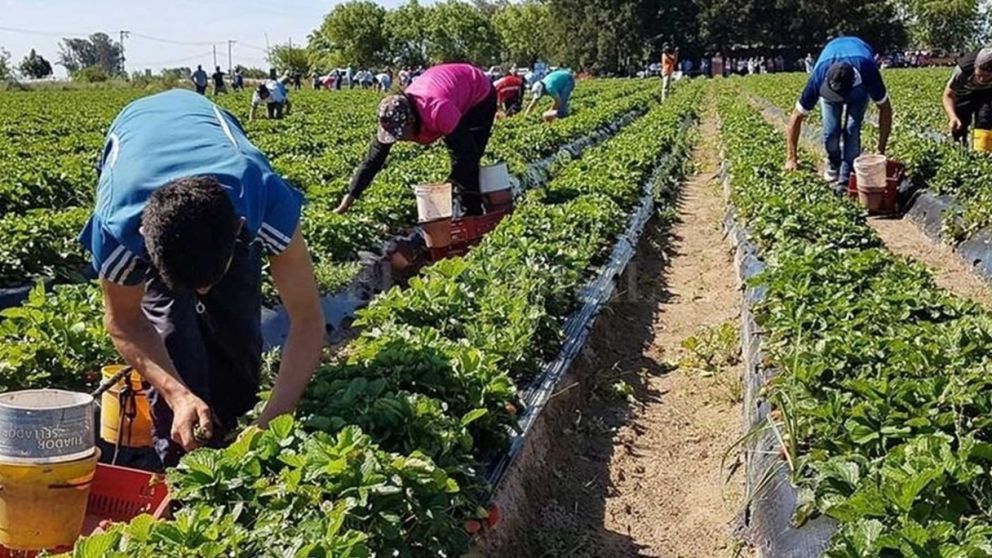Aumentó la Prestación por Desempleo Rural en septiembre