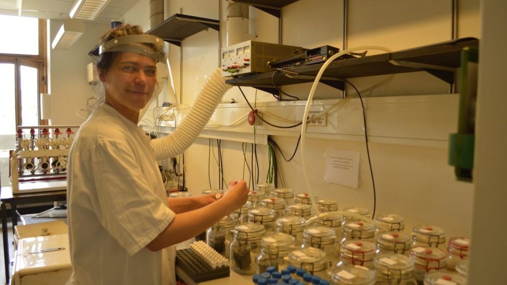 La microbiota intestinal: clave en la detección temprana del Alzheimer