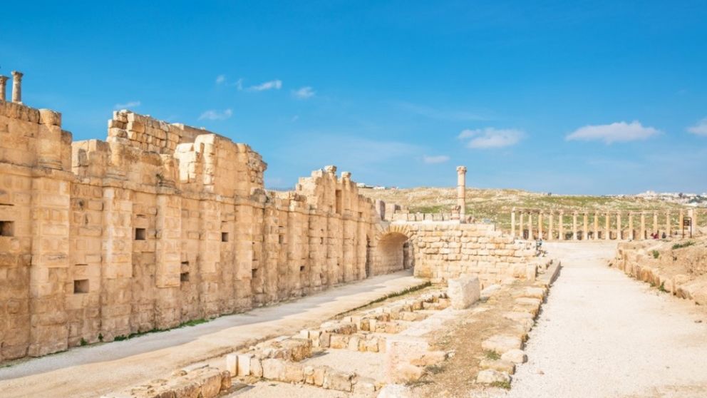 descubren el patógeno detrás de la peste de justiniano tras 1.500 años