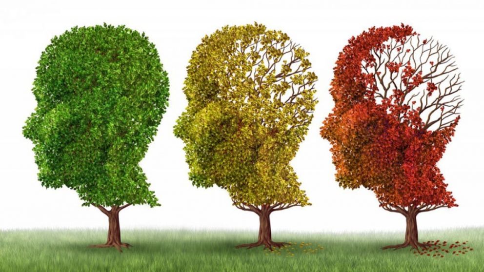 La dieta mediterránea podría reducir el riesgo genético de Alzheimer