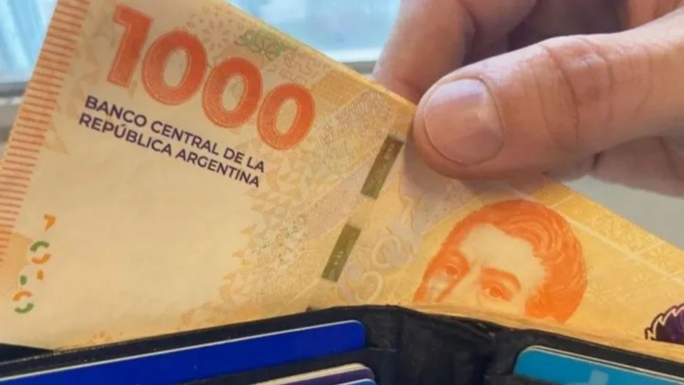 Cuánto cobro por AUE Anses