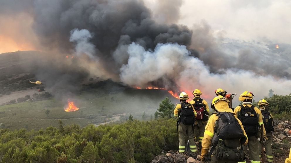Fueron destruídas 19.100 hectáreas de cultivos, a lo que se suman daños en pastizales, explotaciones apícolas y asentamientos ganaderos