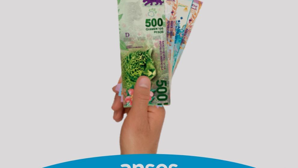 Los beneficiarios de la PUAM de Anses pueden gestionar cr�ditos de hasta $70.000